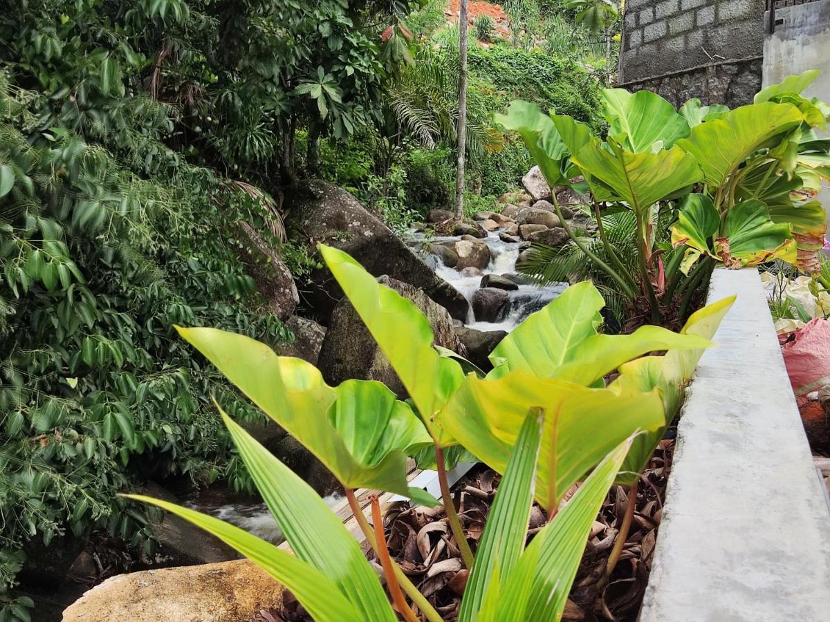 Riverside Mount Simpson Upper Vịnh Beau Vallon Ngoại thất bức ảnh