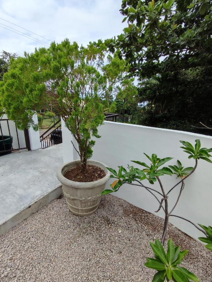 Riverside Mount Simpson Upper Vịnh Beau Vallon Ngoại thất bức ảnh